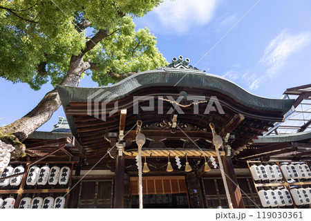 石切剣箭神社の本殿（2024年9月撮影） 119030361