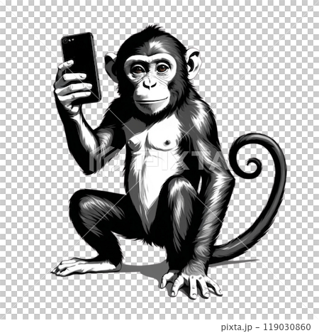 拿著智慧型手機的猴子│猴子│黑猩猩│001 119030860