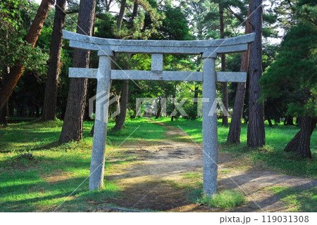 夏の天橋立神社の鳥居 夏の天橋立神社の鳥居 119031308