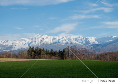 晩秋の晴れた日の雑木林と冠雪の山並み　十勝岳 119031936