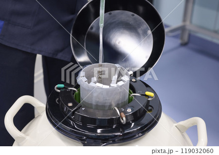 液体窒素タンクでサンプルを管理する実験者 119032060