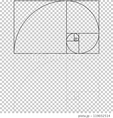 黄金比2種類（黒） 119032514