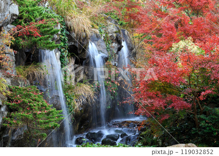 秋の熱海梅園　赤いモミジと梅見の滝（静岡県熱海市） 119032852