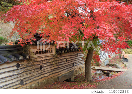 秋の熱海梅園　韓国庭園（静岡県熱海市） 119032858