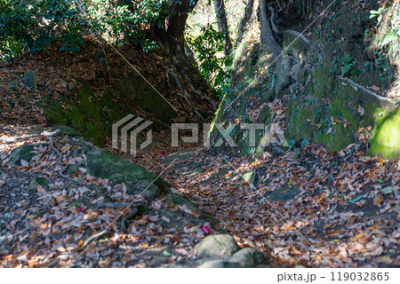 鎌倉 天園ハイキングコース 覚園寺切通 鎌倉 天園ハイキングコース 覚園寺切通 119032865