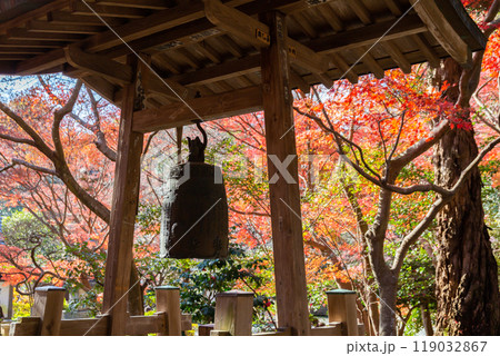 覚園寺の紅葉と釣鐘(神奈川県鎌倉市) 覚園寺の紅葉と釣鐘(神奈川県鎌倉市) 119032867