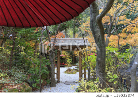 一条恵観山荘 紅葉の小径(神奈川県鎌倉市) 一条恵観山荘 紅葉の小径(神奈川県鎌倉市) 119032874