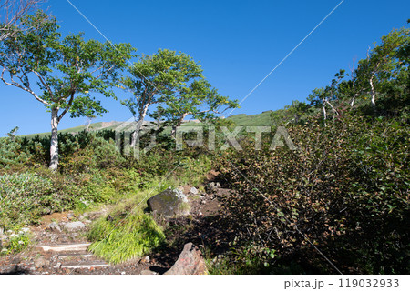 御嶽山八合目付近 119032933