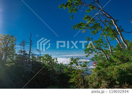 御嶽山八合目から広がった雲海を望む 119032934