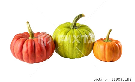 Photograph of pumpkins on a white background 119033192