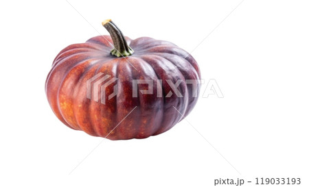 Photograph of pumpkins on a white background Photograph of pumpkins on a white background 119033193