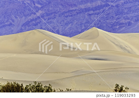 Sand Dunes, Death Valley, USA 119033293