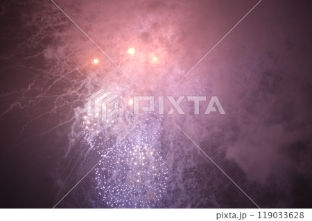 第46回世田谷区たまがわ花火大会 119033628