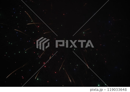 第46回世田谷区たまがわ花火大会 119033648