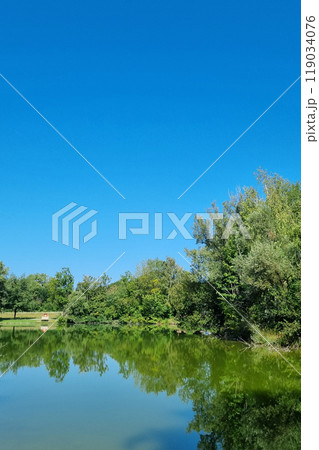 Tranquil Summer Lake with Clear Blue Sky and Lush Greenery 119034076