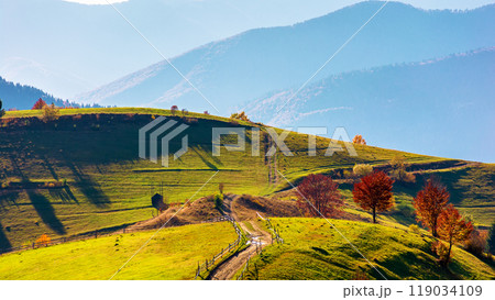 carpathian countryside on a sunny autumn day. path through rural fields and grassy hill at high noon. distant borzhava ridge. wooden fence along the way uphill 119034109
