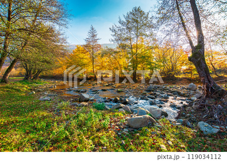 landscape with creek in the forest on an sunny autumn morning. carpathian nature scenery in fall season 119034112