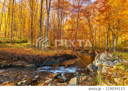 landscape with creek in the forest on an sunny autumn morning. carpathian nature scenery in fall season. deciduous woodland 119034113
