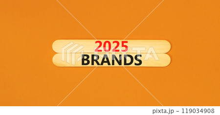 Planning 2025 brands new year symbol. Concept words 2025 Brands on beautiful wooden sticks. Beautiful orange background. Business 2025 brands new year concept. Copy space. 119034908