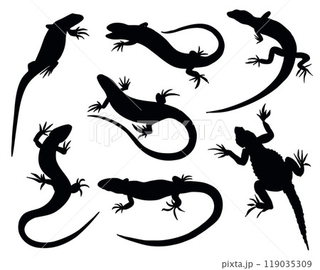 Lizard Black Silhouette Set. Vector Reptile Animal Collection Isolated on White Background 119035309