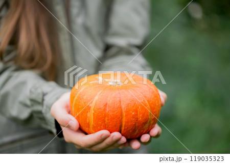 A woman in a jacket holds a small orange pumpkin in her hands while standing in the garden. close-up A woman in a jacket holds a small orange pumpkin in her hands while standing in the garden. close-up 119035323