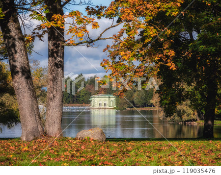 Beautiful autumn park, sunny weather, golden maples. 119035476