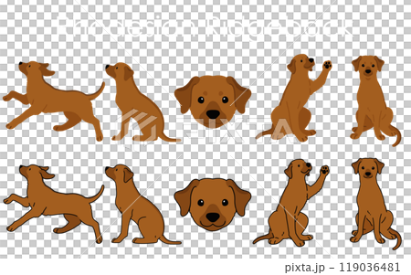 簡單可愛的羅德西亞脊背犬插畫集 119036481