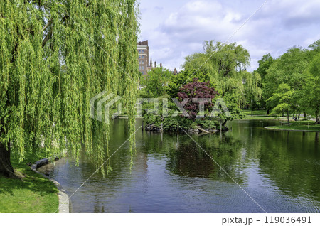Idillic view in the Boston Public Garden, USA 119036491