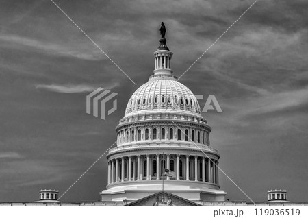 Dome of the United States Capitol building, Washington DC, USA 119036519