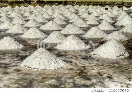 The salt flats of Trapani, Sicily, Italy The salt flats of Trapani, Sicily, Italy 119037070