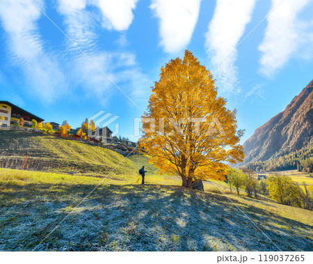 Breathtaking autumn landscape  at Heiligenblut village near Grossglockner mount . 119037265