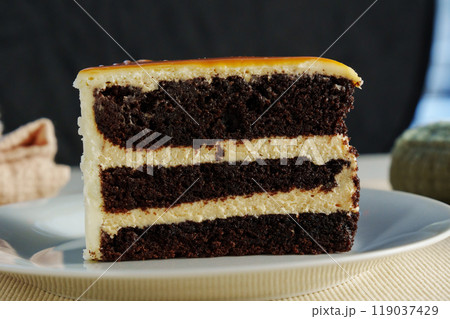 Decadent chocolate layer cake with creamy frosting showcased on a pristine plate against a dark backdrop Decadent chocolate layer cake with creamy frosting showcased on a pristine plate against a dark backdrop 119037429