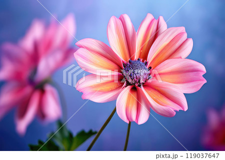 Colorful delicate floral background. Colorful delicate floral background. 119037647