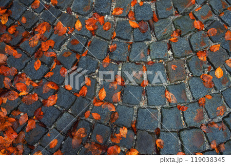 Fallen autumn leaves decorating a cobblestone road 119038345
