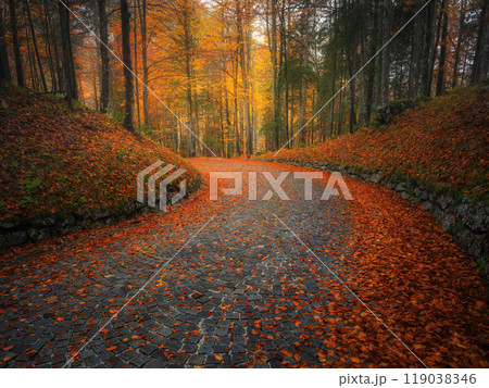 Fallen leaves covering a winding cobblestone road in autumn Fallen leaves covering a winding cobblestone road in autumn 119038346