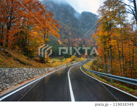 Road in colorful red forest in golden autumn in rainy day Road in colorful red forest in golden autumn in rainy day 119038349