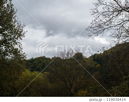 Village Transcarpathia region scenic Carpathian mountains view Ukraine Europe Autumn countryside landscape Lush foliage Village Transcarpathia region scenic Carpathian mountains view Ukraine Europe Autumn countryside landscape Lush foliage 119038414