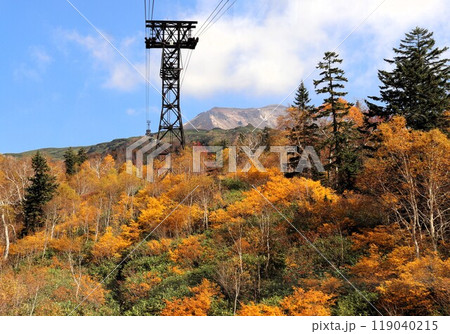 日本一早い紅葉　大雪山旭岳　北海道 119040215