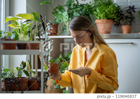 Pensive female looking at spot on dry plant leaf, trying to state houseplant disease, find pests Pensive female looking at spot on dry plant leaf, trying to state houseplant disease, find pests 119040837
