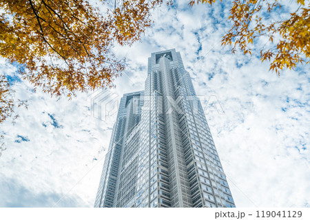 「東京都」東京都庁と秋の風景・新宿 119041129