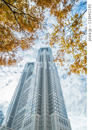 「東京都」東京都庁と秋の風景・新宿 「東京都」東京都庁と秋の風景・新宿 119041130