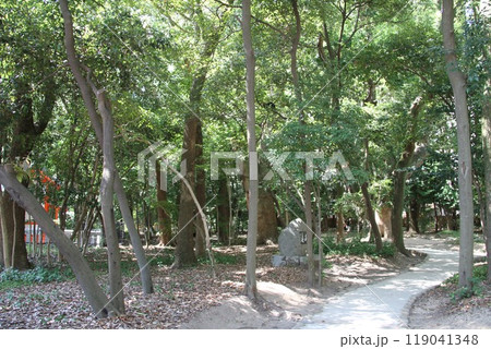 静謐な流れの中にある神戸生田の森 静謐な流れの中にある神戸生田の森 119041348