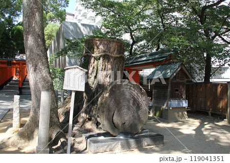 静謐な流れの中にある神戸生田の森 119041351
