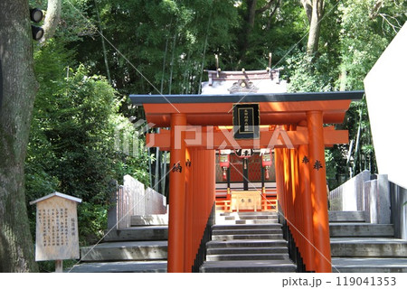 静謐な流れの中にある神戸生田の森 静謐な流れの中にある神戸生田の森 119041353