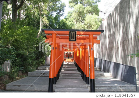 静謐な流れの中にある神戸生田の森 静謐な流れの中にある神戸生田の森 119041357