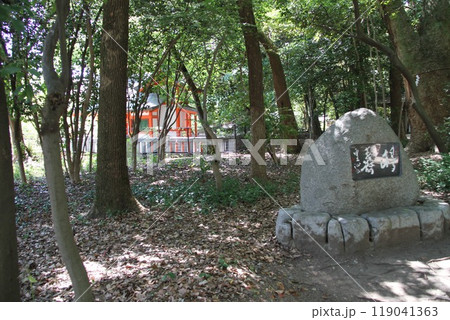 静謐な流れの中にある神戸生田の森 静謐な流れの中にある神戸生田の森 119041363