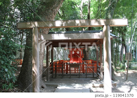 静謐な流れの中にある神戸生田の森 静謐な流れの中にある神戸生田の森 119041370