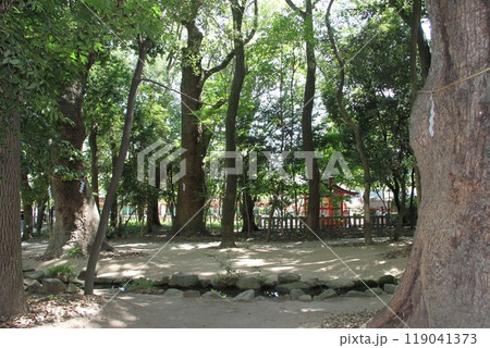 静謐な流れの中にある神戸生田の森 119041373