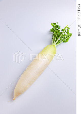 大根 119041493