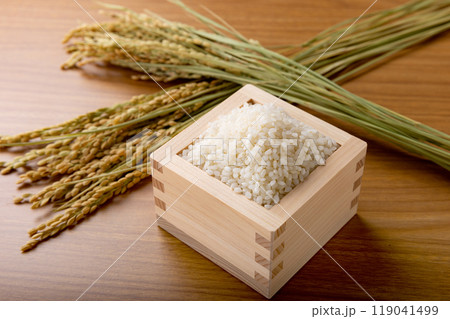 枡に盛られた白米 119041499